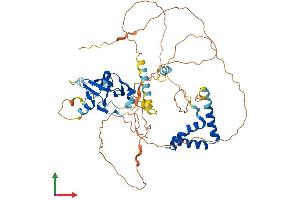 AlphaFold protein structure predicition of Mouse Recombinant Hbp1 Protein, UniprotID Q8R316