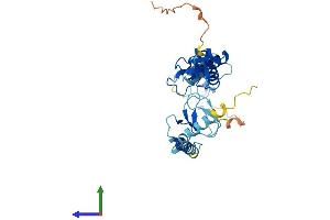 AlphaFold protein structure predicition of Human Recombinant RNF144B Protein, UniprotID Q7Z419