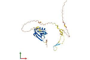 AlphaFold protein structure predicition of Human Recombinant PDZD9 Protein, UniprotID Q8IXQ8