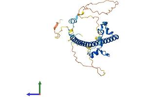 AlphaFold protein structure predicition of Human Recombinant HLF Protein, UniprotID Q16534