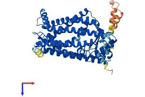 AlphaFold protein structure predicition of Human Recombinant ZMPSTE24 Protein, UniprotID O75844
