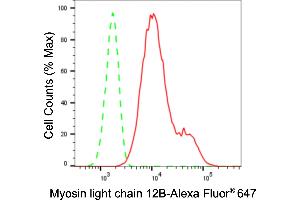 Flow cytometric analysis of Myosin light chain 12B expression in H9c2 cells using Myosin light chain 12B antibody (ABIN7799527), 1:2,000).
