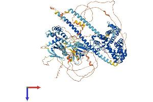 AlphaFold protein structure predicition of Mouse Recombinant Tbc1d1 Protein, UniprotID Q60949