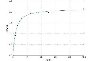 A typical standard curve