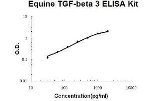Horse equine TGF-beta 3 PicoKine ELISA Kit standard curve (TGFB3 Kit ELISA)