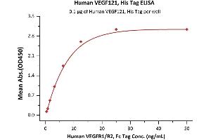 Vascular Endothelial Growth Factor (VEGF) (AA 27-147) (Active) protein (His tag)