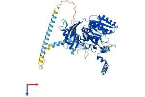 AlphaFold protein structure predicition of Mouse Recombinant Csgalnact1 Protein, UniprotID Q8BJQ9