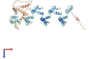 AlphaFold protein structure predicition of Human Recombinant ZNF100 Protein, UniprotID Q8IYN0