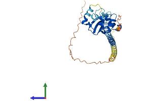AlphaFold protein structure predicition of Human Recombinant TSPY1 Protein, UniprotID Q01534