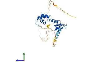 AlphaFold protein structure predicition of Mouse Recombinant Naca Protein, UniprotID Q60817