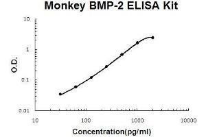 Monkey Primate BMP-2 PicoKine ELISA Kit standard curve (BMP2 Kit ELISA)