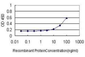 Detection limit for recombinant GST tagged MKNK1 is approximately 3ng/ml as a capture antibody. (MKNK1 anticorps  (AA 1-465))