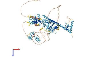 AlphaFold protein structure predicition of Mouse Recombinant Ankzf1 Protein, UniprotID Q80UU1