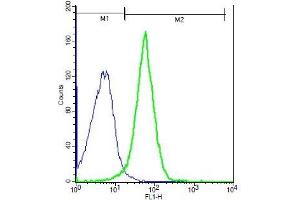 Mouse probed with Rabbit Anti-TRPM2 Polyclonal Antibody, Unconjugated (ABIN681223) (green) at 1:100 for 40 minutes followed by a FITC conjugated secondary compared to control cells (blue).