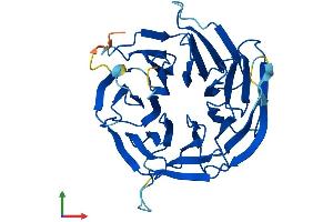 AlphaFold protein structure predicition of Mouse Recombinant Mlst8 Protein, UniprotID Q9DCJ1