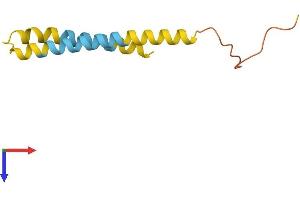 AlphaFold protein structure predicition of Human Recombinant LINC00312 Protein, UniprotID Q9Y6C7