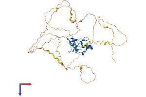AlphaFold protein structure predicition of Mouse Recombinant Gata2 Protein, UniprotID O09100