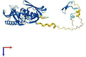 AlphaFold protein structure predicition of Mouse Recombinant Bbs5 Protein, UniprotID Q9CZQ9