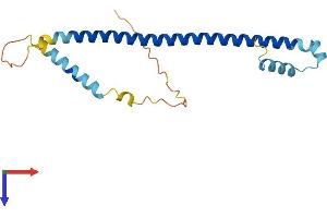 AlphaFold protein structure predicition of Human Recombinant ATF3 Protein, UniprotID P18847