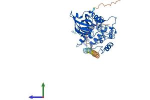 AlphaFold protein structure predicition of Mouse Recombinant Dapk2 Protein, UniprotID Q8VDF3
