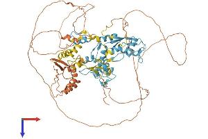 AlphaFold protein structure predicition of Human Recombinant ZBTB39 Protein, UniprotID O15060