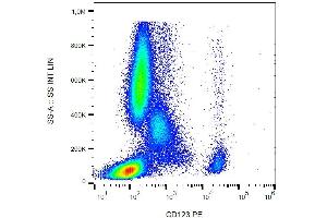 Surface staining of human peripheral blood with anti-CD123 PE. (IL3RA anticorps  (PE))