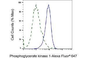 Validation of Phosphoglycerate kinase 1 knockdown using flow cytometry.