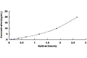 Typical standard curve (MYH6 Kit ELISA)