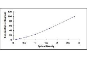 ELISA image for Transferrin (TF) ELISA Kit (ABIN1874346)