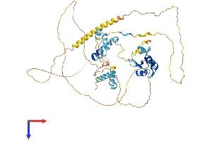 AlphaFold protein structure predicition of Mouse Recombinant Cstf2 Protein, UniprotID Q8BIQ5