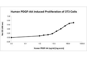 SDS-PAGE of Human Platelet Derived Growth Factor-AA Recombinant Protein Bioactivity of Human Platelet Derived Growth Factor-AA Recombinant Protein. (PDGFA Protéine)
