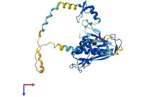 AlphaFold protein structure predicition of Human Recombinant DTX3 Protein, UniprotID Q8N9I9