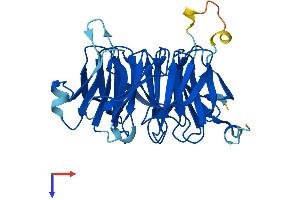 AlphaFold protein structure predicition of Mouse Recombinant Eif3i Protein, UniprotID Q9QZD9