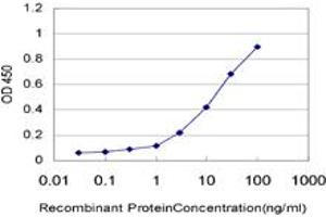 Detection limit for recombinant GST tagged ZNF24 is approximately 0. (ZNF24 anticorps  (AA 1-368))