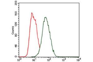 Flow Cytometry (FACS) image for anti-Hexosaminidase A (HEXA) antibody (ABIN1846273) (Hexosaminidase A anticorps)