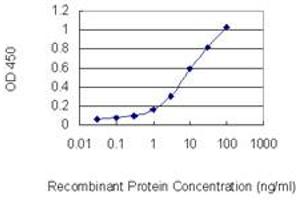 Detection limit for recombinant GST tagged CDKL2 is 0.