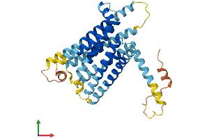 AlphaFold protein structure predicition of Mouse Recombinant Tas2r119 Protein, UniprotID Q9JKT2