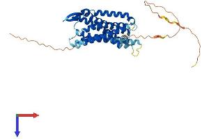 AlphaFold protein structure predicition of Mouse Recombinant Galr2 Protein, UniprotID O88854