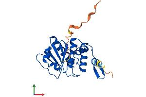 AlphaFold protein structure predicition of Mouse Recombinant Dusp14 Protein, UniprotID Q9JLY7