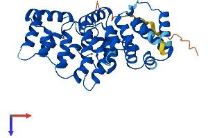 AlphaFold protein structure predicition of Mouse Recombinant Anxa9 Protein, UniprotID Q9JHQ0
