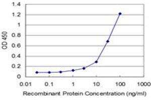 Detection limit for recombinant GST tagged TESK2 is approximately 1ng/ml as a capture antibody. (TESK2 anticorps  (AA 405-542))
