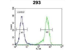 Flow Cytometry (FACS) image for anti-Neuron-Derived Neurotrophic Factor (NDNF) antibody (ABIN3002449)