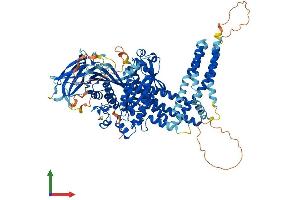 AlphaFold protein structure predicition of Human Recombinant INPP4B Protein, UniprotID O15327