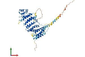 AlphaFold protein structure predicition of Mouse Recombinant Fam178b Protein, UniprotID Q24JP3