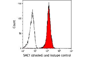 Flow Cytometry (FACS) image for anti-Structural Maintenance of Chromosomes 1A (SMC1A) (C-Term) antibody (ABIN7455193) (Recombinant SMC1A anticorps  (C-Term))