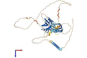 AlphaFold protein structure predicition of Human Recombinant SYT14 Protein, UniprotID Q8NB59
