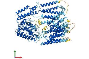 AlphaFold protein structure predicition of Mouse Recombinant Pign Protein, UniprotID Q9R1S3