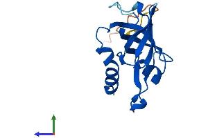 AlphaFold protein structure predicition of Mouse Recombinant Rmi2 Protein, UniprotID Q3UPE3