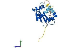 AlphaFold protein structure predicition of Mouse Recombinant Scp2d1 Protein, UniprotID Q9DAH1