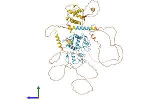 AlphaFold protein structure predicition of Human Recombinant ZBTB49 Protein, UniprotID Q6ZSB9